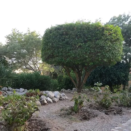 Appartamento ático Sobre El Mar Benajarafe